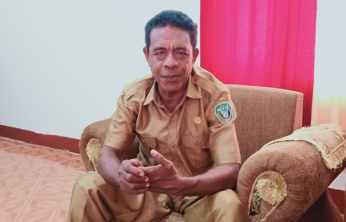 Kepala Dinas Perkebunan dan Perternakan (Disbunter) Kabupaten Flores Timur Petrus Petara Aran. Foto: Wentho Eliando