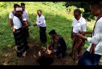 Camat Alok Timur, Nicolaus Emanuel, S.Sos (pegang bibit kelapa) didampingi Kepala SMPN I Alok Timur, Vitalis Paskalis Sukalumba, S.Pd; Pj. Kepala Desa Gong Bekor Dominikus Lukas Kila; Ketua Komite Anastasius Mitak; Ketua Panitia Hardiknas Nikolaus Lale, S.Pd; dan Sekretaris Panitia Elisabeth Keraf, S.Pd menanam anakan Kelapa Merdeka Belajar di Halaman SMPN I Alok Timur, Kamis (2/5/2024). Foto Wall Abulat