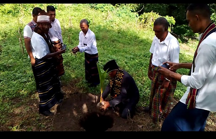 Camat Alok Timur, Nicolaus Emanuel, S.Sos (pegang bibit kelapa) didampingi Kepala SMPN I Alok Timur, Vitalis Paskalis Sukalumba, S.Pd; Pj. Kepala Desa Gong Bekor Dominikus Lukas Kila; Ketua Komite Anastasius Mitak; Ketua Panitia Hardiknas Nikolaus Lale, S.Pd; dan Sekretaris Panitia Elisabeth Keraf, S.Pd menanam anakan Kelapa Merdeka Belajar di Halaman SMPN I Alok Timur, Kamis (2/5/2024). Foto Wall Abulat