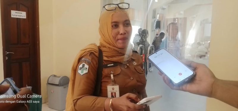Kepala Dinas Kesehatan Kabupaten Ende, dr. Aries Dwi Lestari
