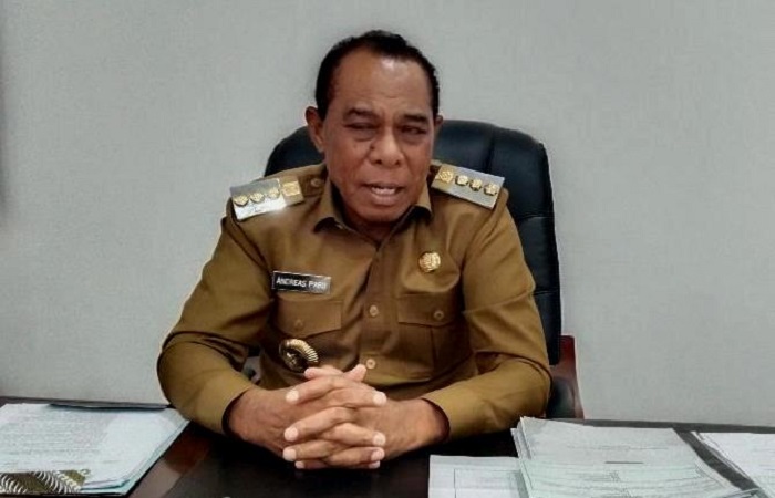 Bupati Ngada,Andreas Paru
