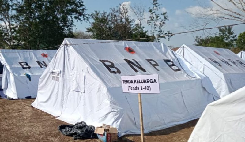 Tenda Pengungsi Letusan Gunung Lewotobi Laki-laki di Desa Kobasoma, Kecamatan Titehena, Kabupaten Flores Timr, Rabu (13/11/2024). Foto: Wentho Eliando