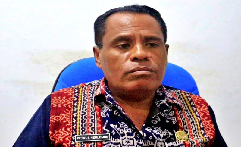 Kepala Dinas Pengendalian Penduduk dan Keluarga Berencana, Pemberdayaan Perempuan dan Perlindungan Anak (DP2KBP3A) Kabupaten Sikka, Petrus Herlemus