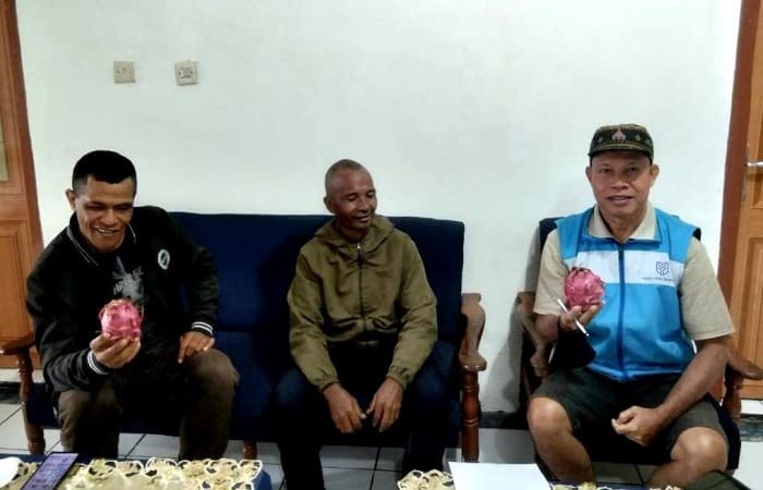 Petani Naga Florianus Mega (tengah) memberikan kado buah naga kepada penulis dan salah satu konsumen di Ruteng, baru-baru ini. Foto.Istimewa.