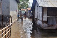 Banjir Rob Rendam Rumah Warga di Maumere