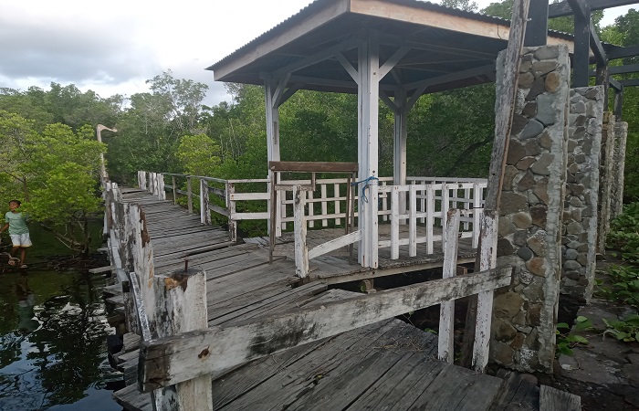 Jembatan Hutan Bakau di Kawasan Wisata Waiplatin, Kabupaten Flores Timur Tampak Lapuk dan Rapuh. Gambar diambil Jumat (4/4/2025) sore. (FOTO: WENTHO ELIANDO)