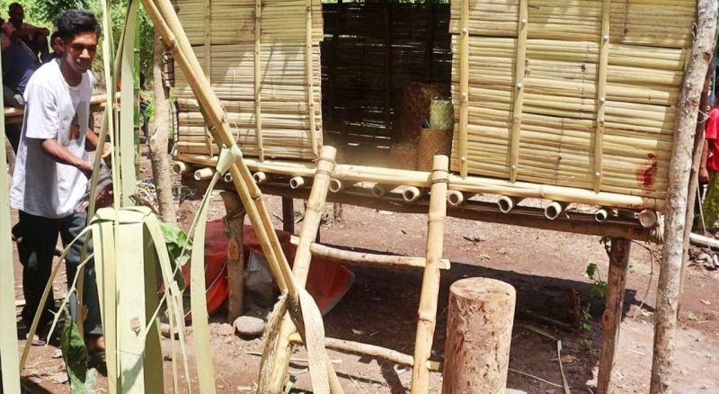 Festival Jelajah Maumere Usung Tema Lumbung Benih