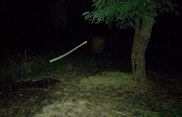 Tempat tambatan kerbau dan kuda di Desa Nggolonio-Mbay sdah kosong.