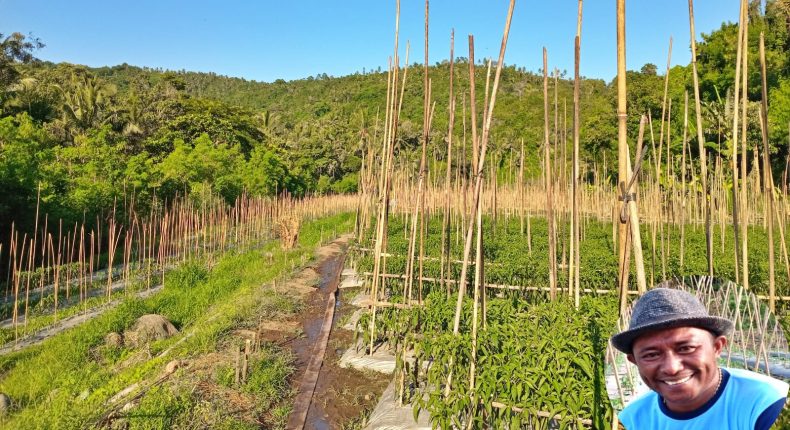 foto slider headline