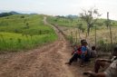 Kawasan Peternakan Sapi di Kabupaten Flores Timur, Program Strategis Bupati Anton Doni dan Wabup Ignas Uran. Gambar diambil pada Jumat (8/5/2026).