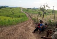 Kawasan Peternakan Sapi di Kabupaten Flores Timur, Program Strategis Bupati Anton Doni dan Wabup Ignas Uran. Gambar diambil pada Jumat (8/5/2026).