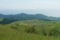 Kawasan Peternakan Sapi di Kabupaten Flores Timur, Program Strategis Bupati Anton Doni dan Wabup Ignas Uran. Gambar diambil pada Jumat (8/5/2026).