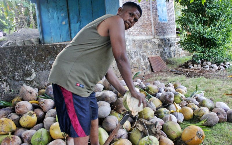 Kelompok Wolosina Watoboki Berdikari di Bidang Ekonomi Berkat Pengolahan Kelapa dan Usaha Simpan Pinjam