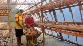 Konten Kaka Rindu Desa Adobala, Rutin Produksi Kopra Gunakan Pengering Energi Matahari