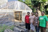 Kelompok Perempuan Petani Kelapa Desa Lambunga, Mandiri Ekonomi Berkat Mengolah Produk Turunan Kelapa