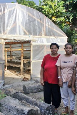 Kelompok Perempuan Petani Kelapa Desa Lambunga, Mandiri Ekonomi Berkat Mengolah Produk Turunan Kelapa