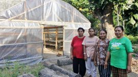Kelompok Perempuan Petani Kelapa Desa Lambunga, Mandiri Ekonomi Berkat Mengolah Produk Turunan Kelapa