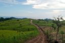 Lokasi Sentra Peternakan Sapi di Wolo Kolo, Kecamatan Tanjung Bunga, Kabupaten Flores Timur. Gambar diambil Mei 2026)