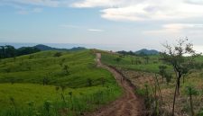 Lokasi Sentra Peternakan Sapi di Wolo Kolo, Kecamatan Tanjung Bunga, Kabupaten Flores Timur. Gambar diambil Mei 2026)