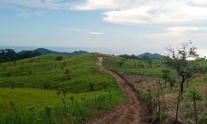 Sentra Peternakan Sapi di Flores Timur–Sudah Habiskan Rp 2 Miliar Lebih, Dirubah Jadi Sub Sentra, Pintu Masuk Tindak Pidana Korupsi?