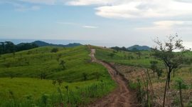 Lokasi Sentra Peternakan Sapi di Wolo Kolo, Kecamatan Tanjung Bunga, Kabupaten Flores Timur. Gambar diambil Mei 2026