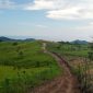 Lokasi Sentra Peternakan Sapi di Wolo Kolo, Kecamatan Tanjung Bunga, Kabupaten Flores Timur. Gambar diambil Mei 2026