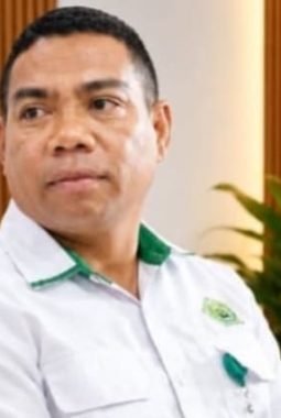 Solidaritas yang Terluka di Tengah Bencana Gempa Flores